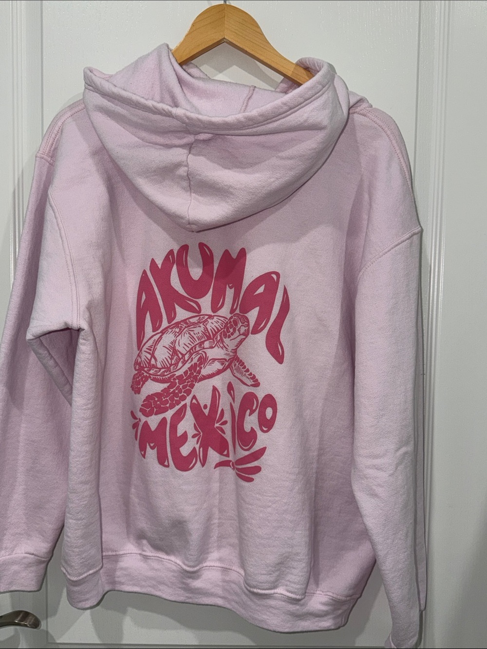 Pink Graphic Hoodie Sweater - Mexico Turtle Design Akumal size large